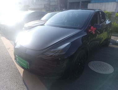 Tesla Model Y 2021 Tesla Model Y 2021 car image