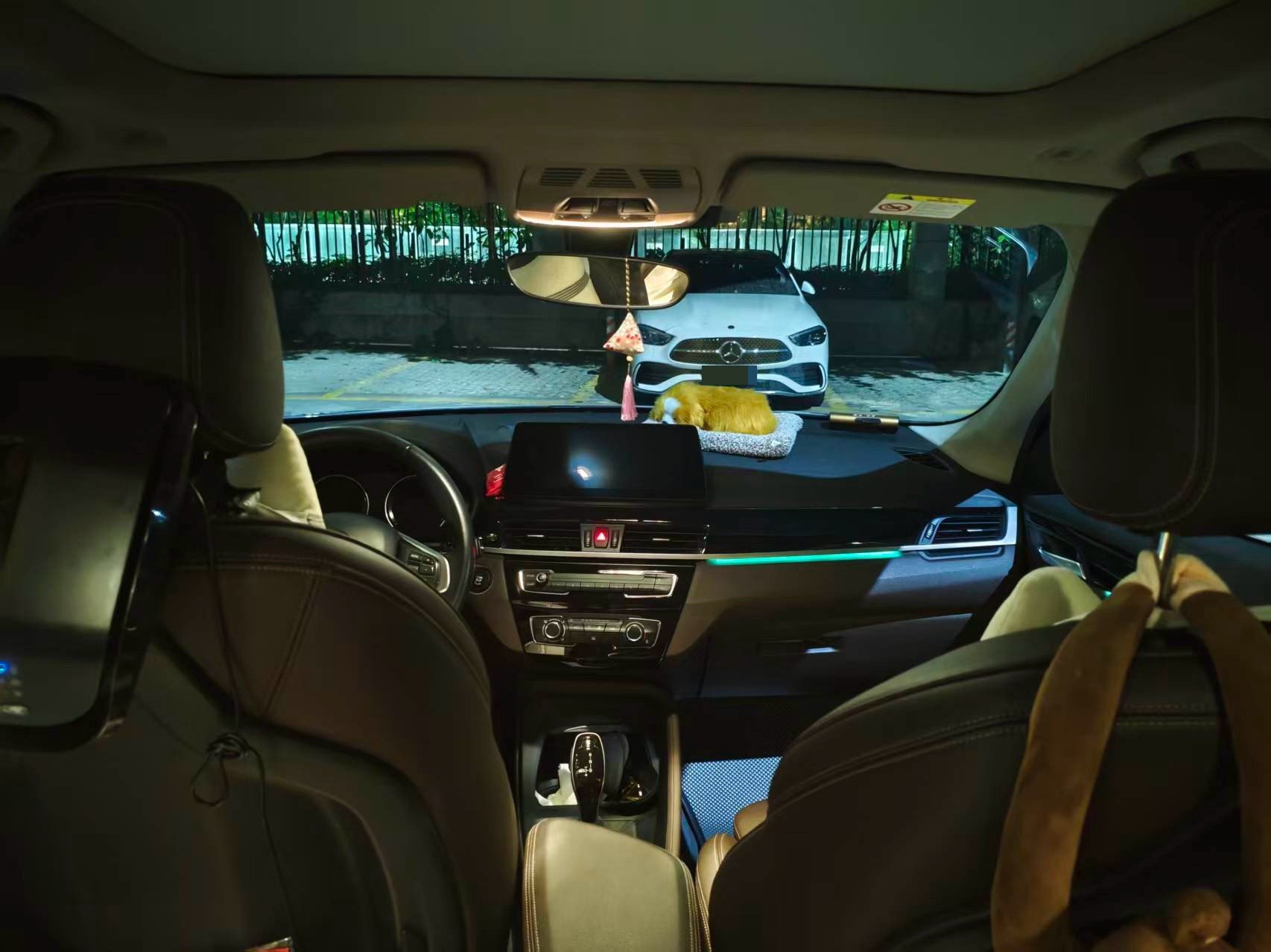 BMW X1 2020 car image #9