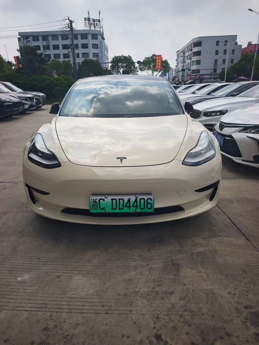 Tesla Model 3 2020 #3 Tesla Model 3 2020 car image #3
