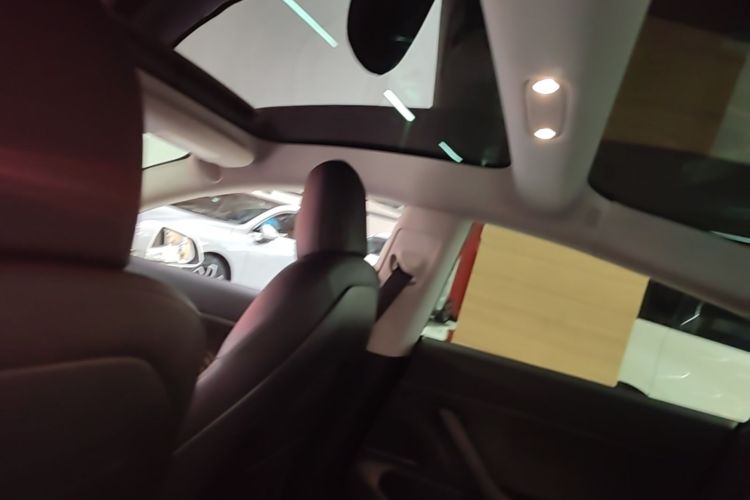 Tesla Model 3 2020 immagine di auto #18
