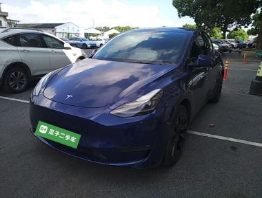 Tesla Model Y 2021 car image 