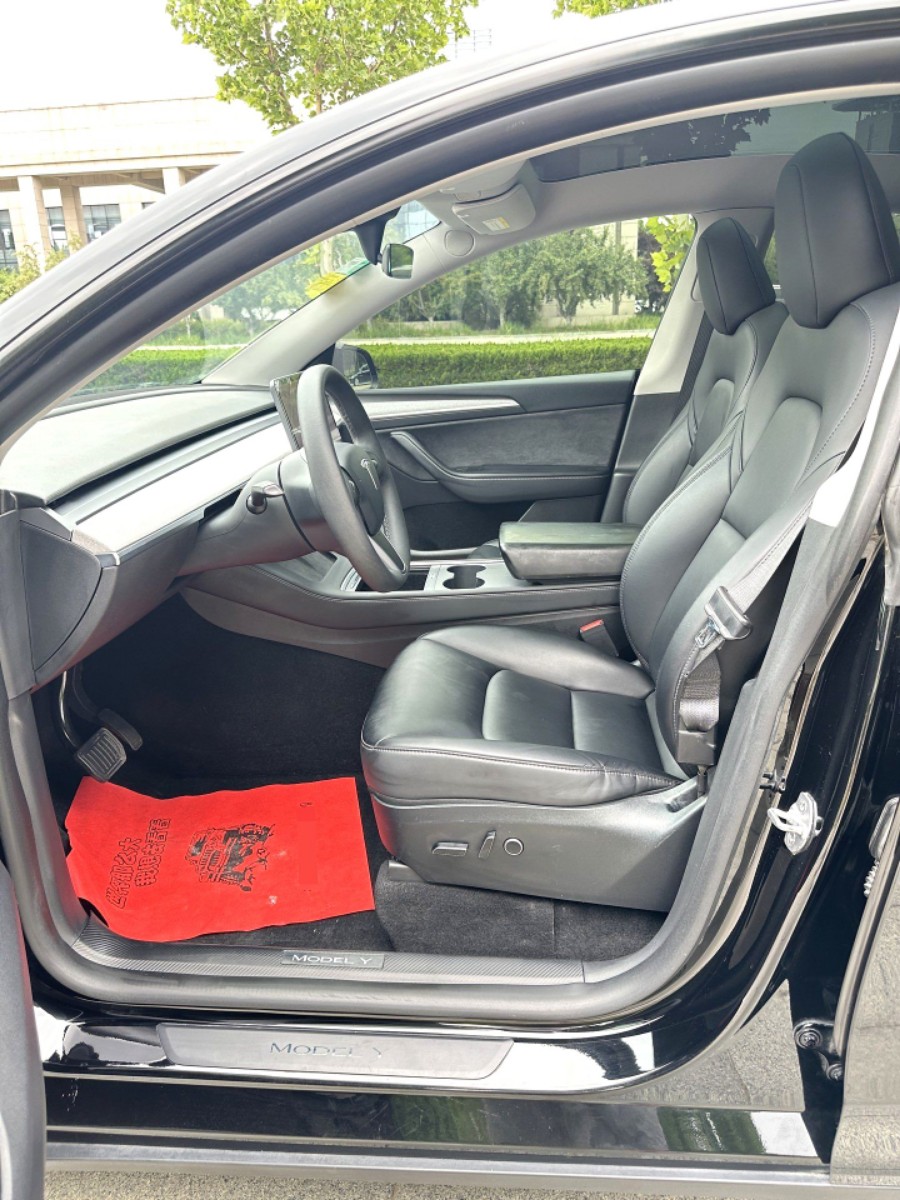Tesla Model Y 2024 car image #6