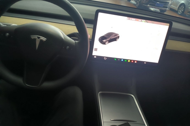 Tesla Model Y 2023 #10 Tesla Model Y 2023 car image #10