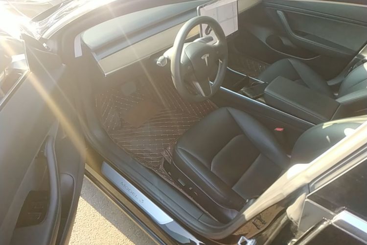 Tesla Model 3 2020 immagine di auto #16