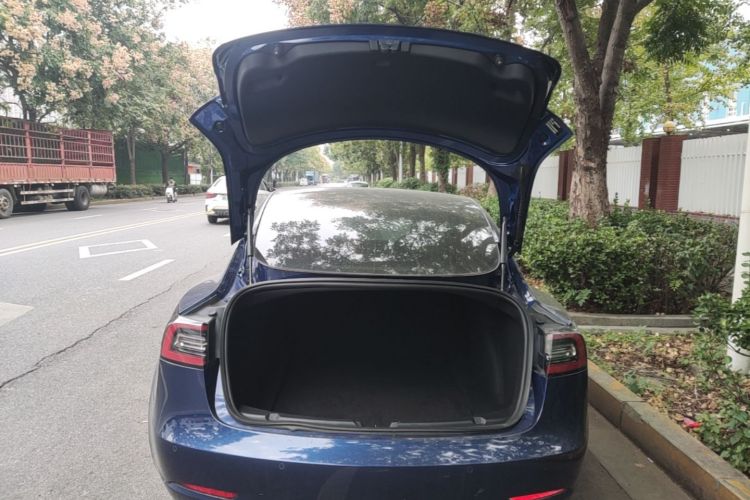 Tesla Model 3 2020 صورة سيارة #19