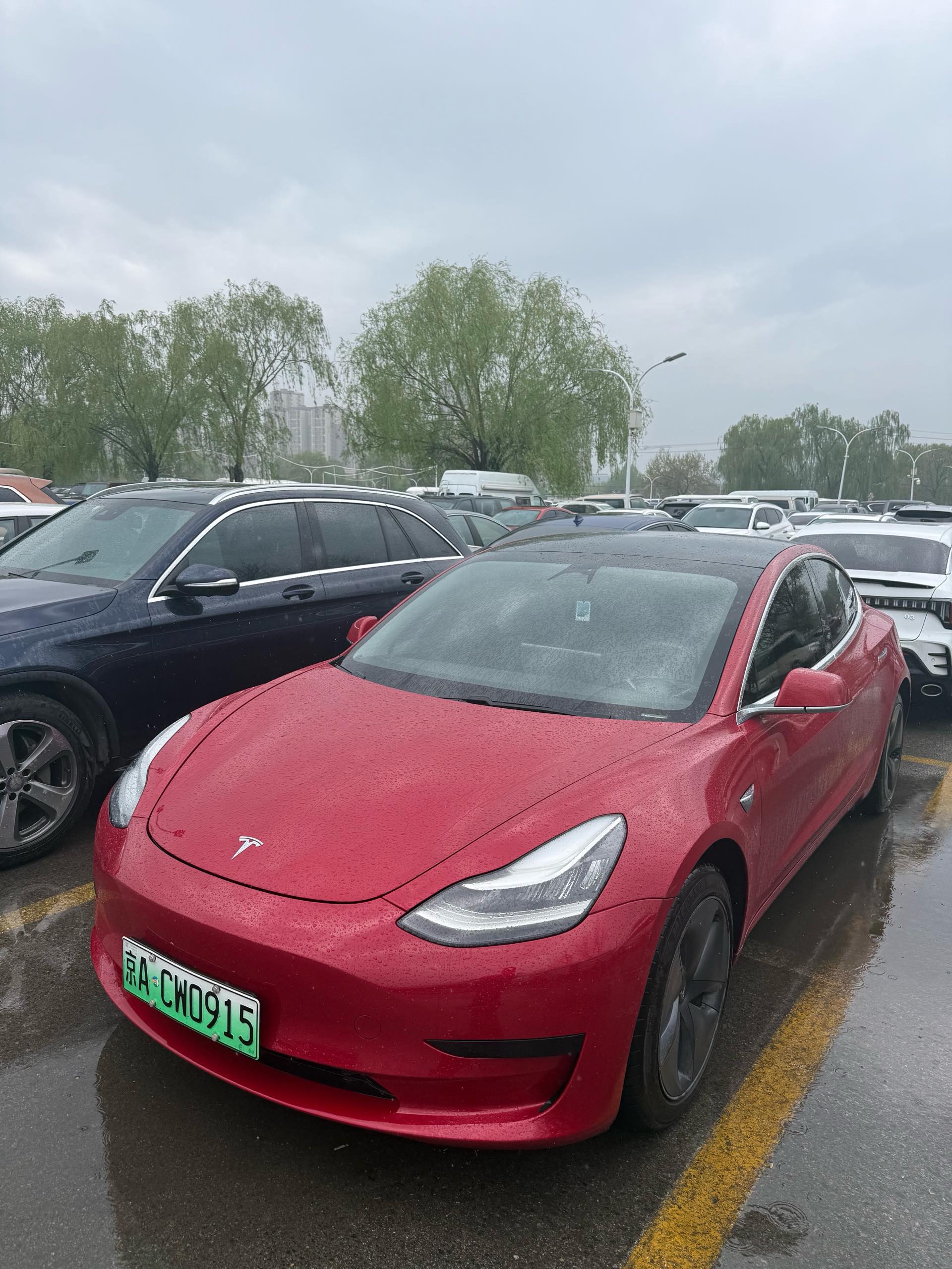 Tesla Model 3 2020 Tesla Model 3 2020 car image