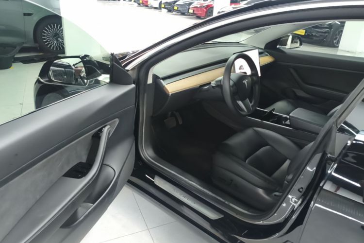Tesla Model 3 2020 car image #12