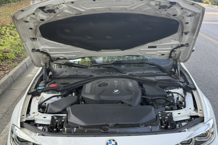 BMW 3 Series 2017 car image #28
