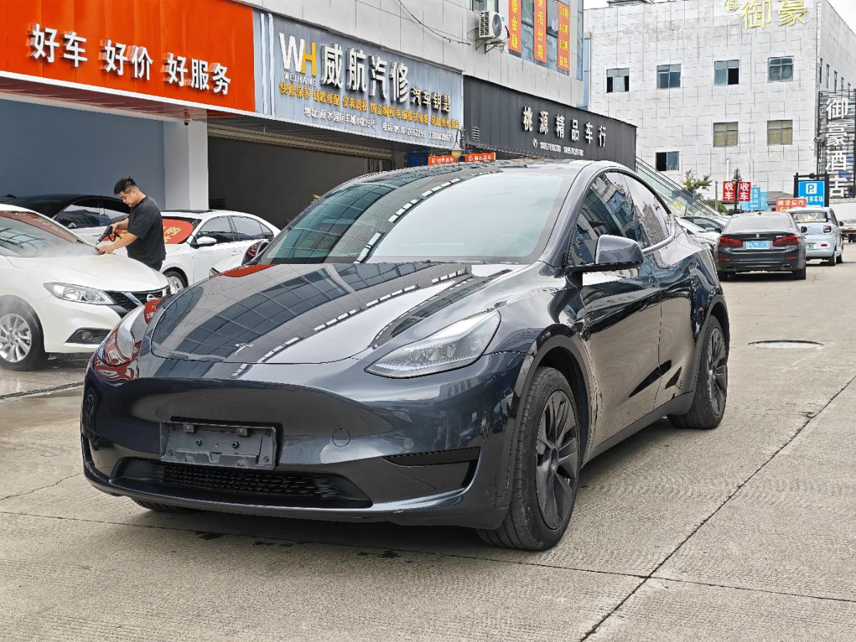 Tesla Model Y 2024 car image 
