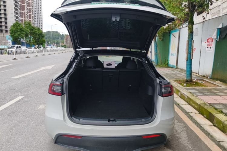 Tesla Model Y 2021 car image #19