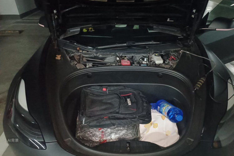 Tesla Model 3 2021 car image #22