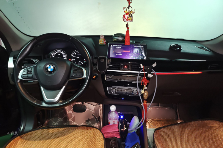 BMW X1 2020 car image #11