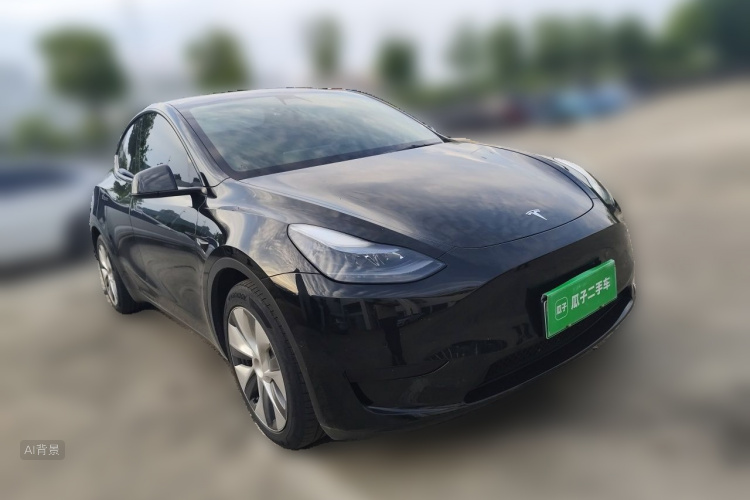 Tesla Model Y 2022 car image #4
