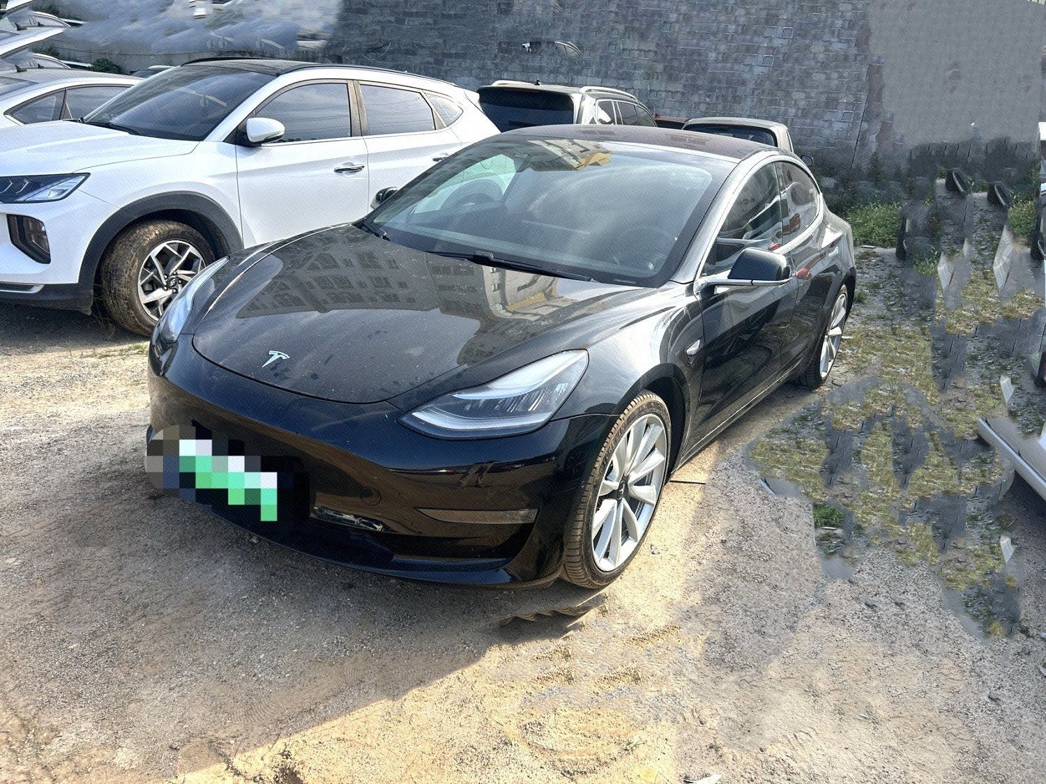 Tesla Model 3 (Imported) 2019 Tesla Model 3 (Imported) 2019 immagine di auto