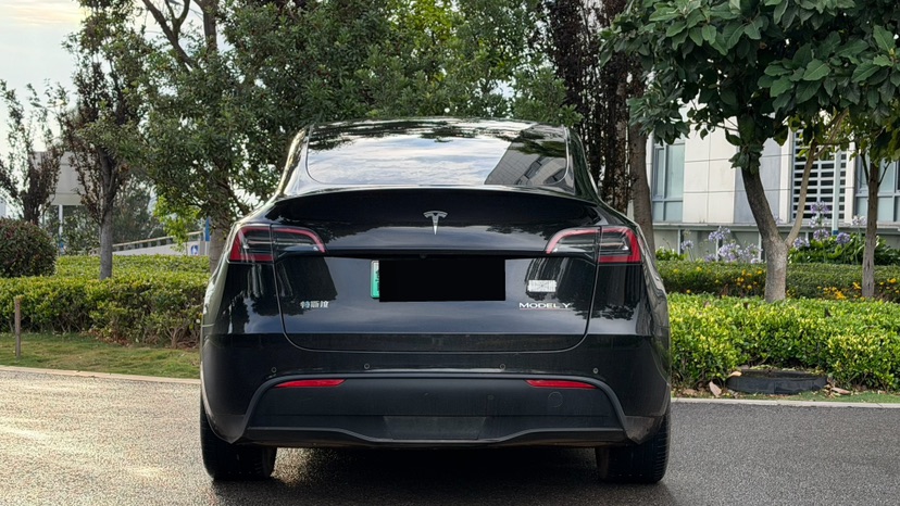 Tesla Model Y 2021 #17 Tesla Model Y 2021 car image #17