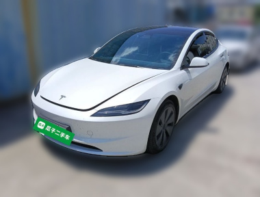 Tesla Model 3 2024 car image 