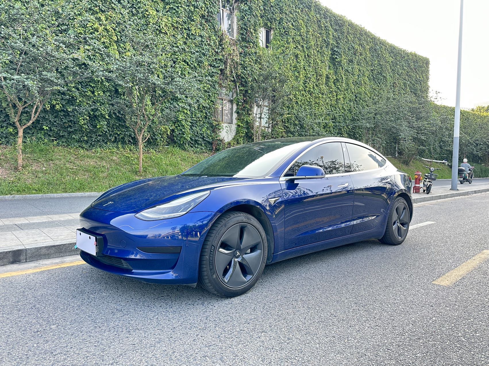 Tesla Model 3 2020 Tesla Model 3 2020 car image