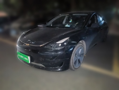 Tesla Model 3 2021 immagine di auto 