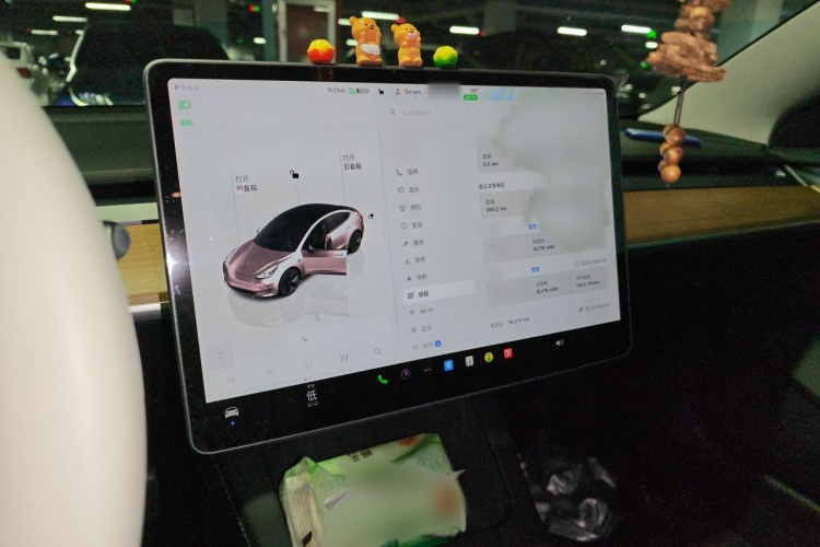 Tesla Model 3 2022 car image #17