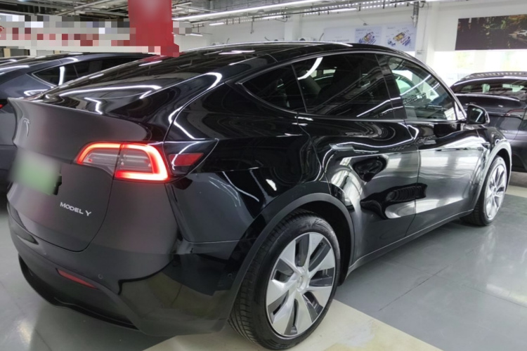 Tesla Model Y 2023 car image #6
