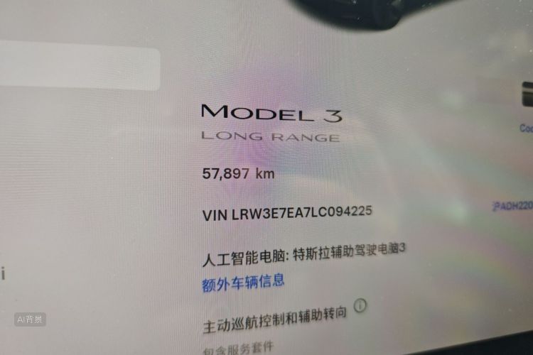 Tesla Model 3 2020 car image #14