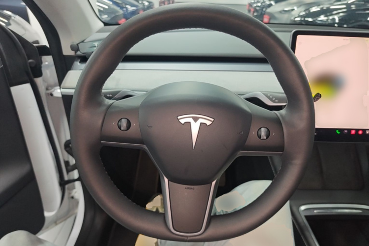 Tesla Model Y 2023 #11 Tesla Model Y 2023 car image #11