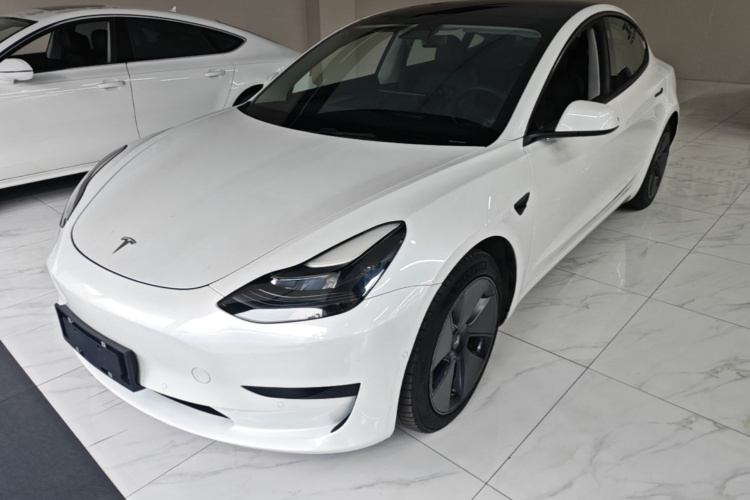 Tesla Model 3 2021 #2 Tesla Model 3 2021 car image #2