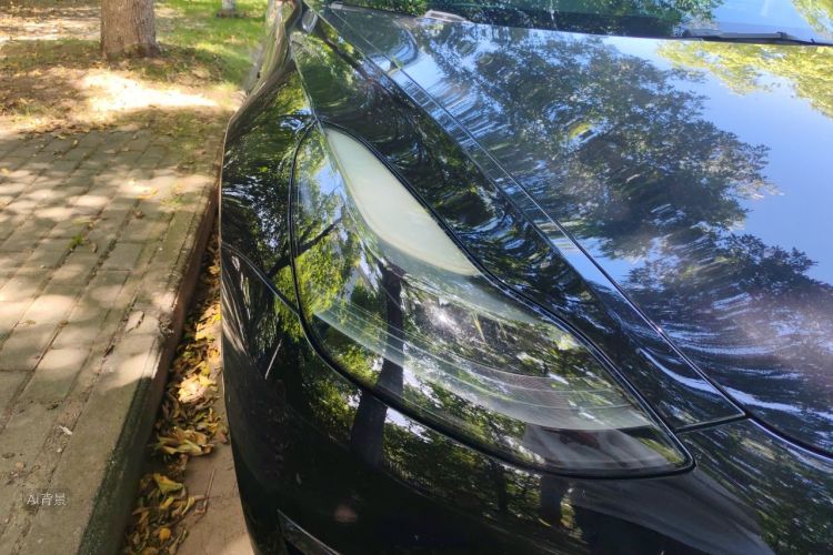Tesla Model 3 2022 #8 Tesla Model 3 2022 car image #8