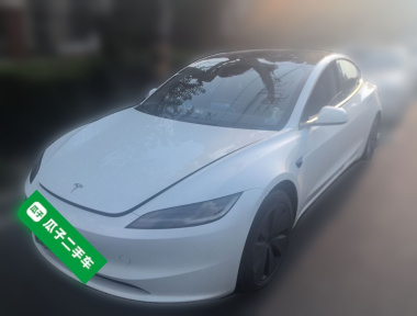 Tesla Model 3 2025 Tesla Model 3 2025 immagine di auto