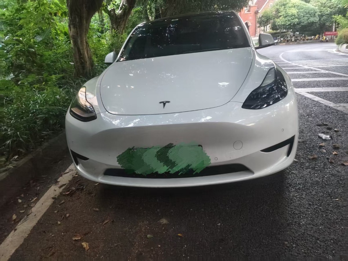Tesla Model Y 2022 car image #2