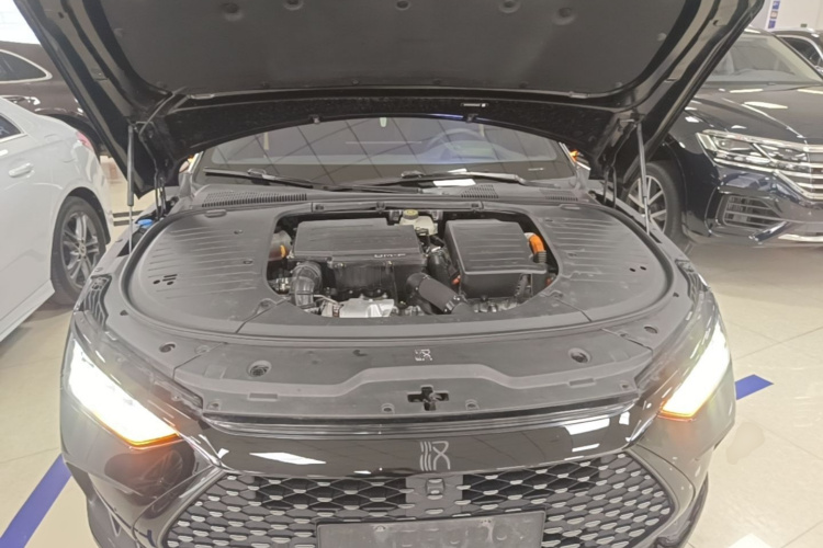 BYD Han 2024 car image #22
