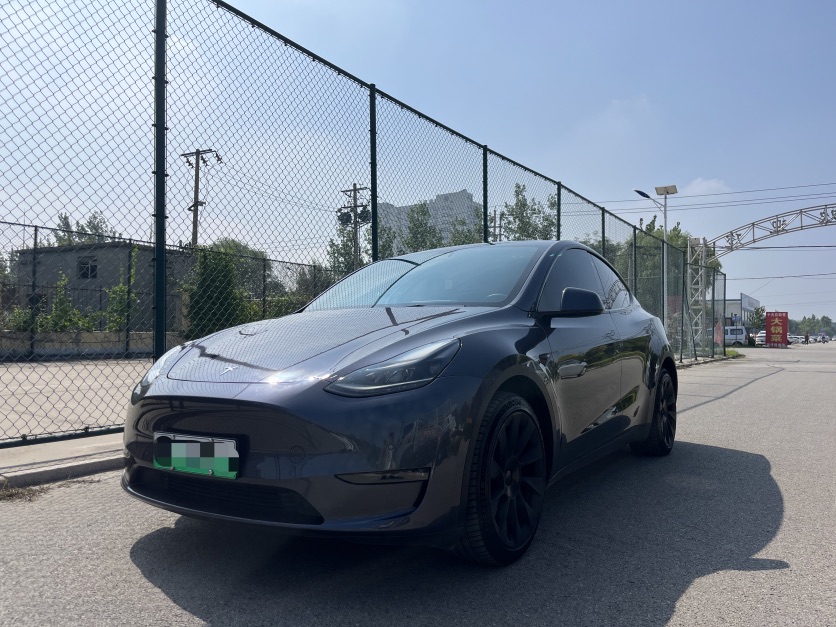 Tesla Model Y 2022 Tesla Model Y 2022 car image