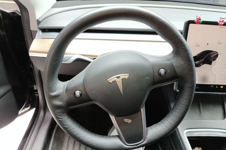 Tesla Model 3 2022 immagine di auto #11