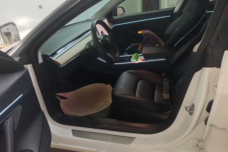 Tesla Model 3 2020 #19 Tesla Model 3 2020 car image #19