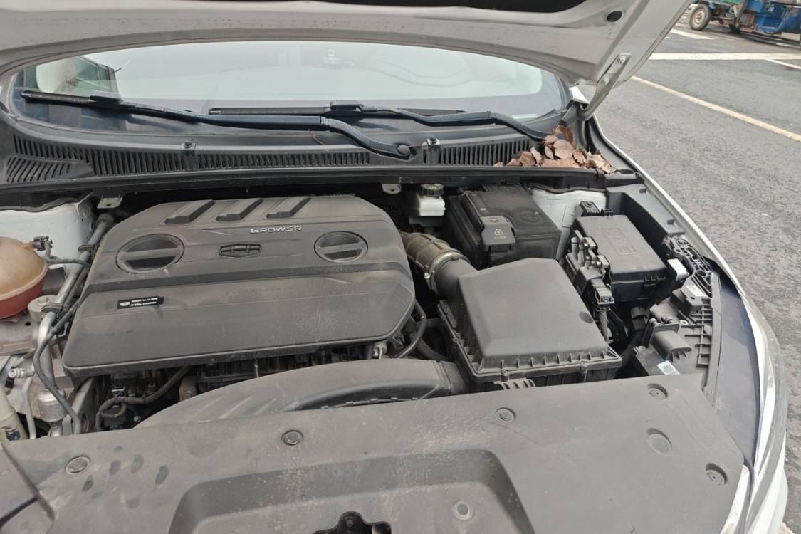 GEELY Binray 2020 #12 GEELY Binray 2020 صورة سيارة #12