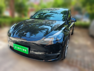 Tesla Model Y 2023 Tesla Model Y 2023 car image