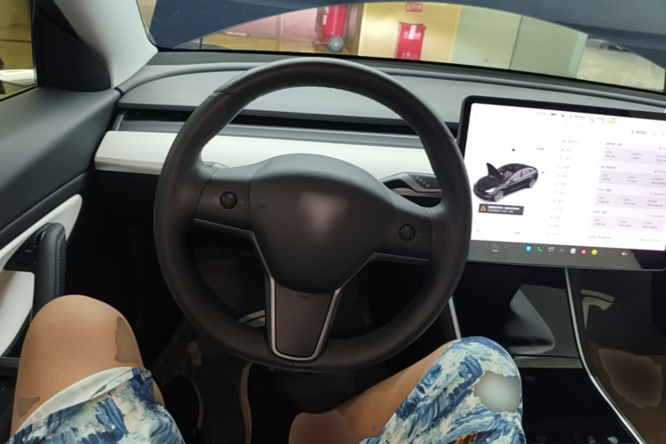 Tesla Model 3 2020 car image #15