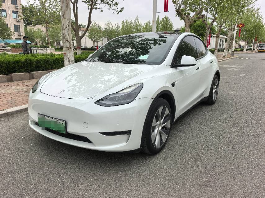Tesla Model Y 2021 Tesla Model Y 2021 car image