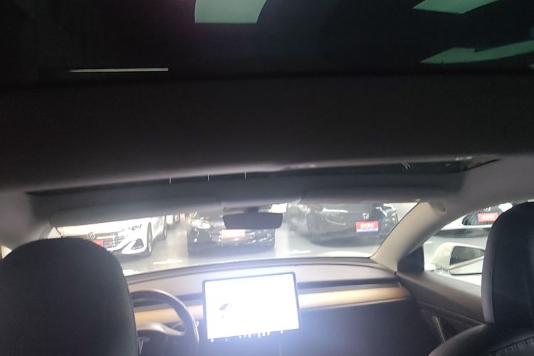 Tesla Model 3 2020 car image #18