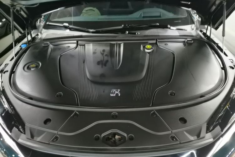 BYD Han 2022 #20 BYD Han 2022 immagine di auto #20