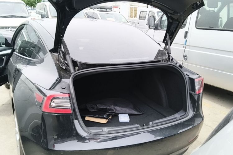 Tesla Model 3 2021 #21 Tesla Model 3 2021 car image #21
