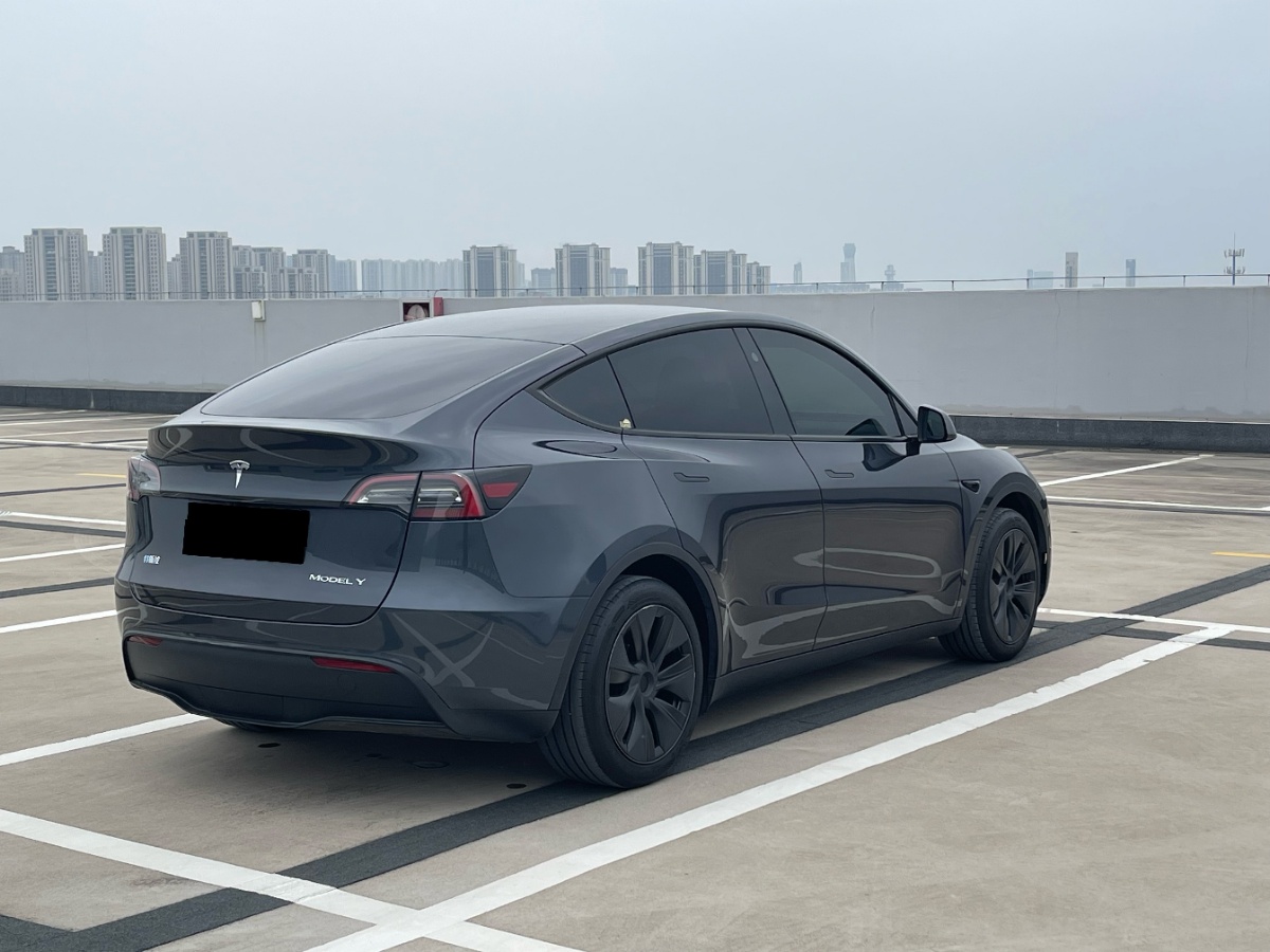 Tesla Model Y 2024 #4 Tesla Model Y 2024 car image #4