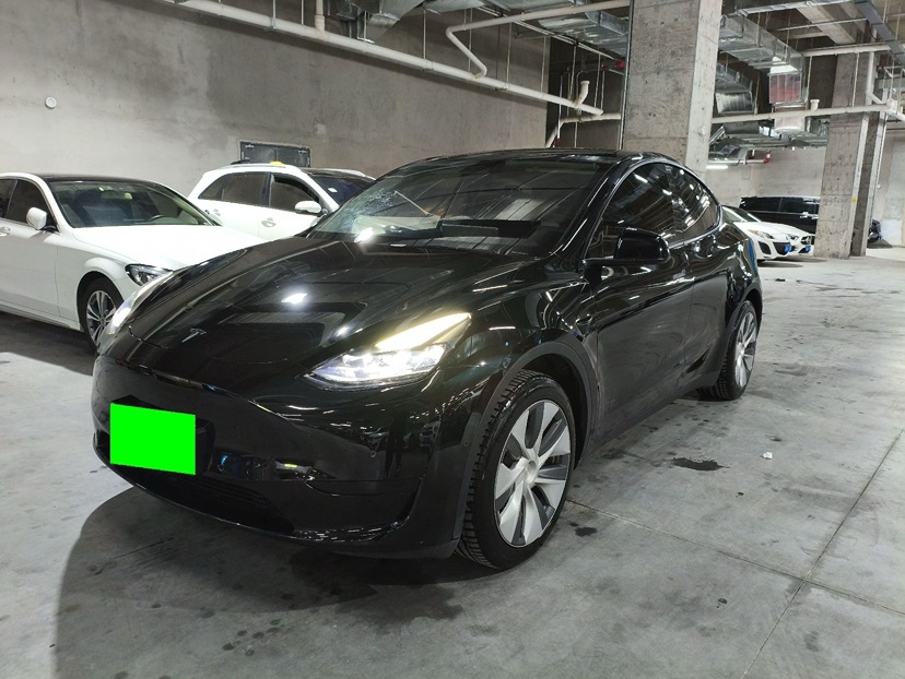 Tesla Model Y 2022 Tesla Model Y 2022 car image