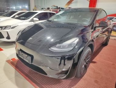 Tesla Model Y 2024 Tesla Model Y 2024 car image