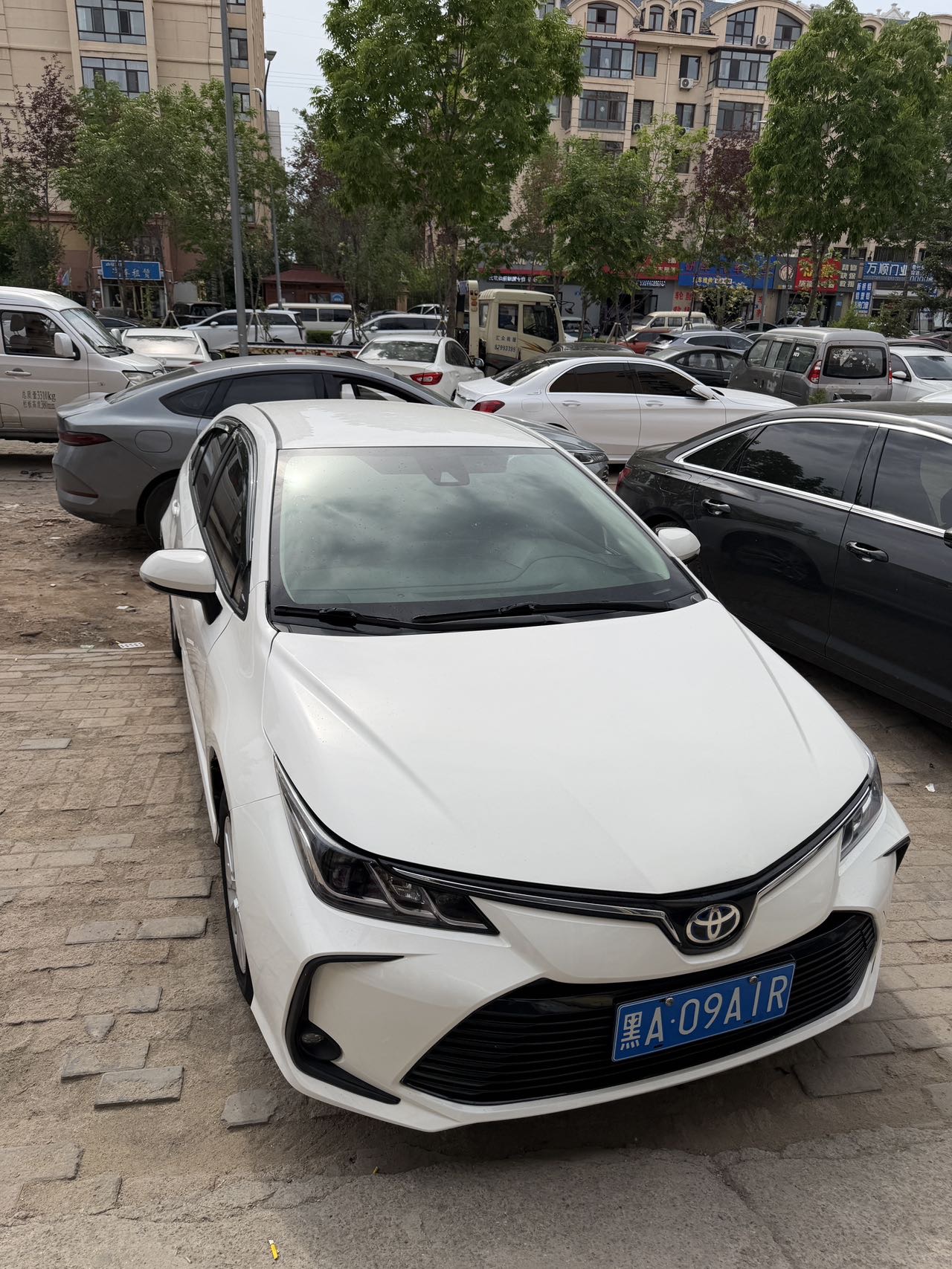Toyota Corolla 2023 car image #2