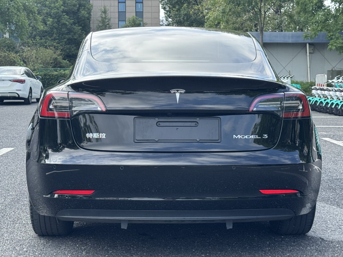 Tesla Model 3 2021 #6 Tesla Model 3 2021 car image #6