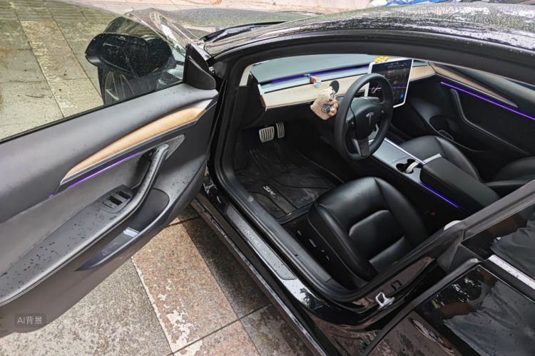 Tesla Model 3 2021 immagine di auto #18