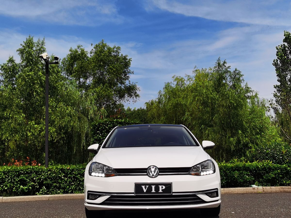 Volkswagen Golf 2020 car image #2