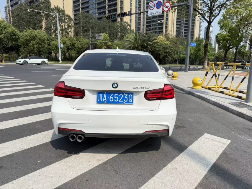 BMW 3 Series 2018 car image #5