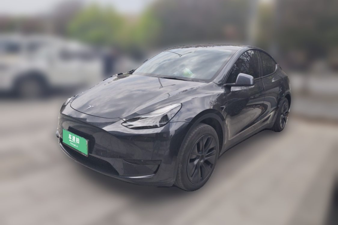 Tesla Model Y 2024 car image 